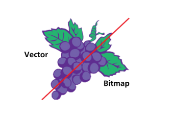 Vector (1)-1