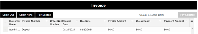 Invoice_PaymentPortal